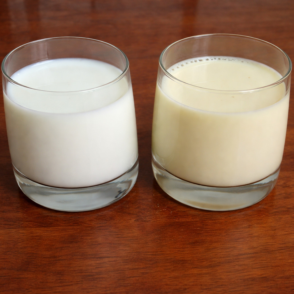 Lait évaporé