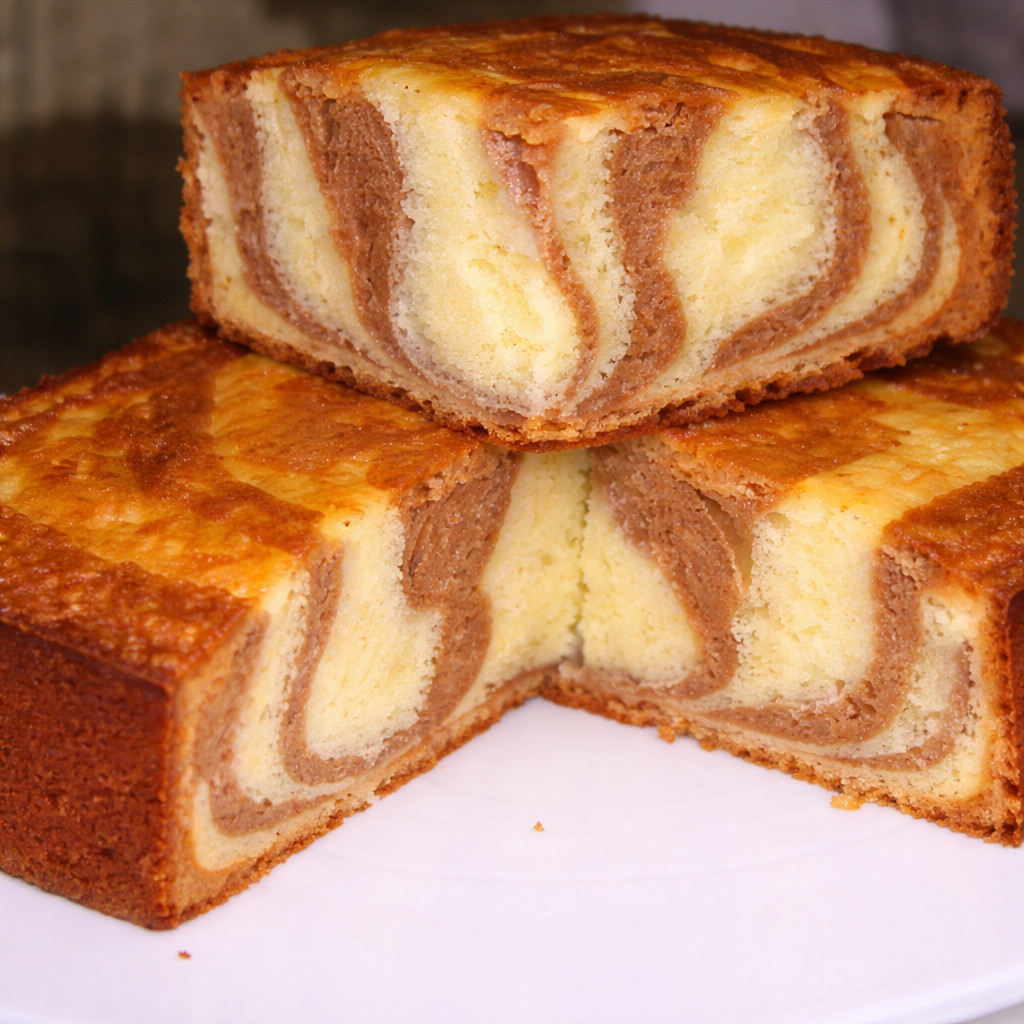 Vanilla and Cocoa Cake
